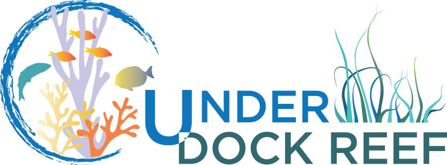 Under Dock Reef
